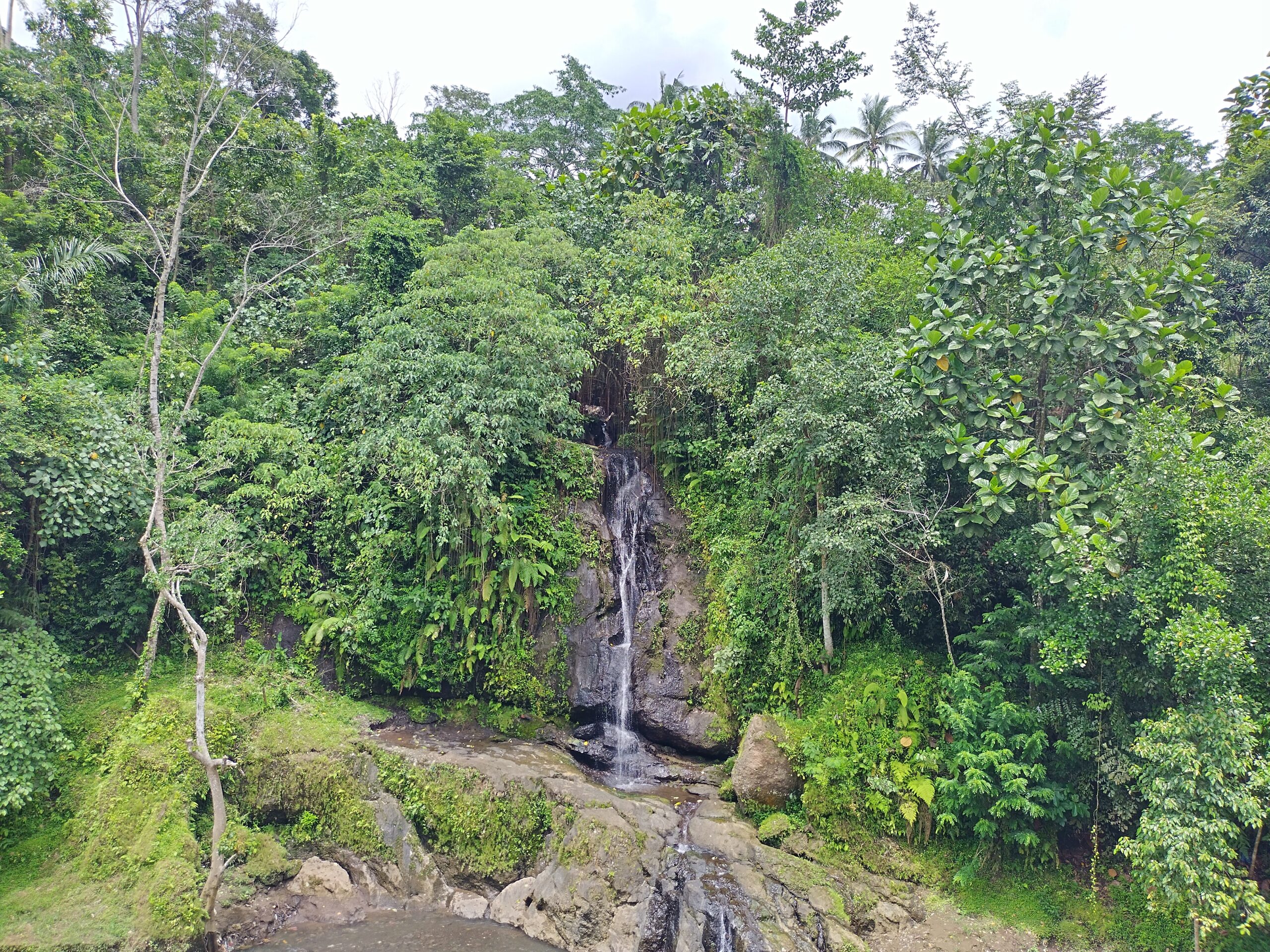 Gesundes Essen, Wellness, Hüften schwingen und Yoga auf Bali – ein Reisebericht