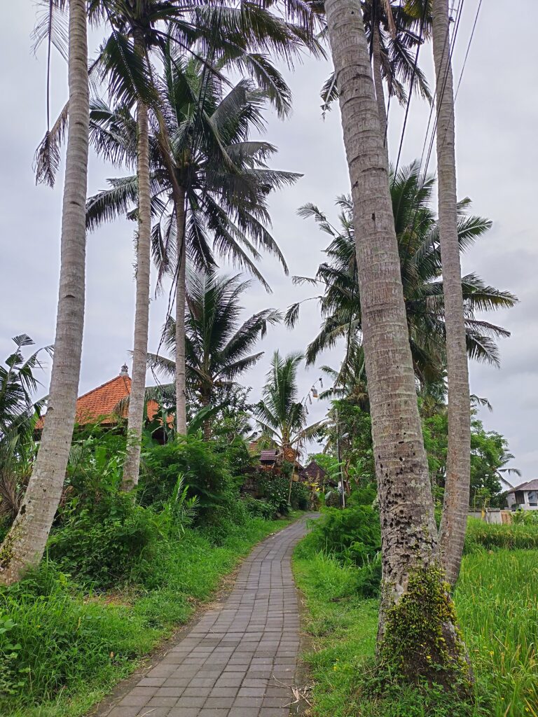 wandern ubud